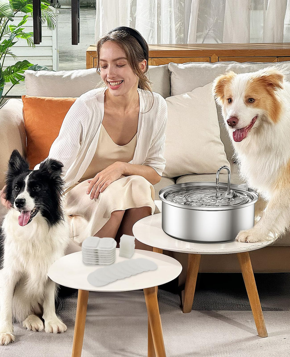 Oneisall easy-clean dog water fountain highlights dishwasher-safe parts and simple maintenance