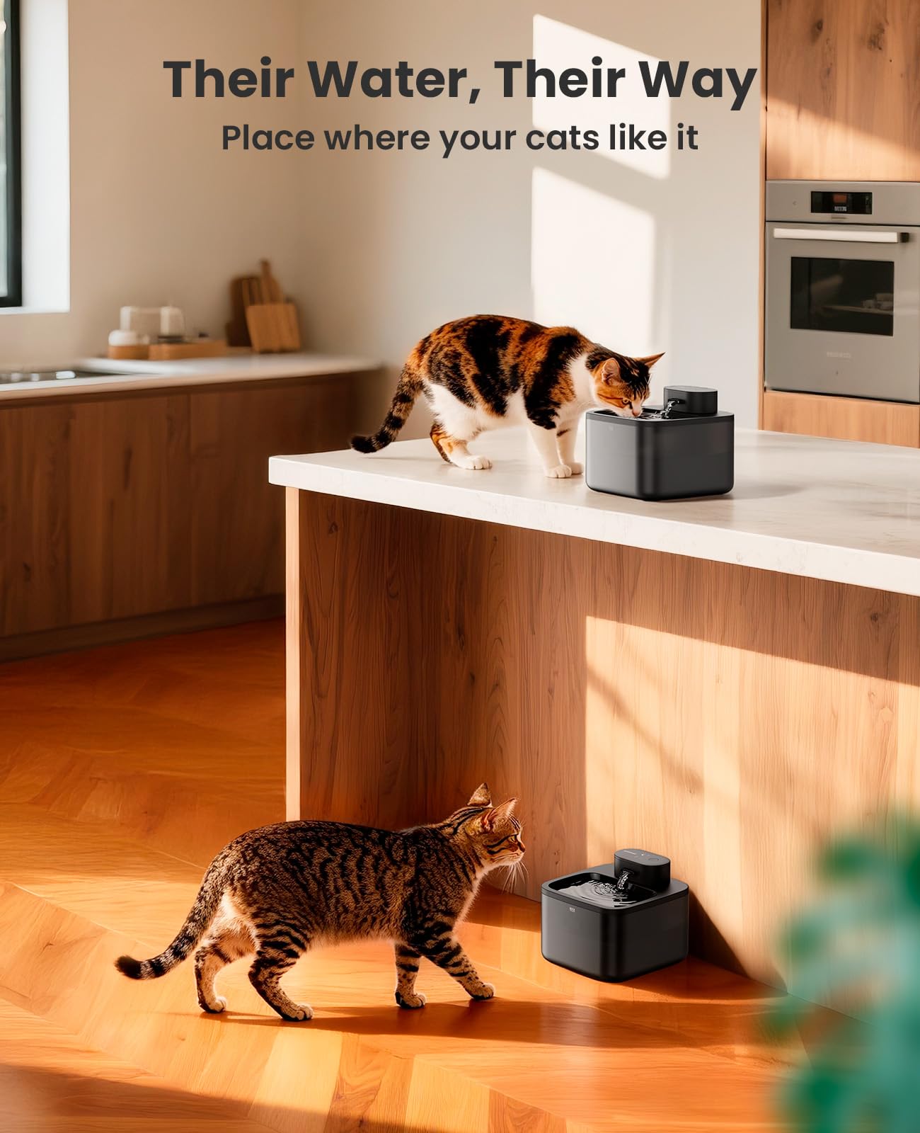 Oneisall five-layer-filter-system purifies water for great-tasting hydration.