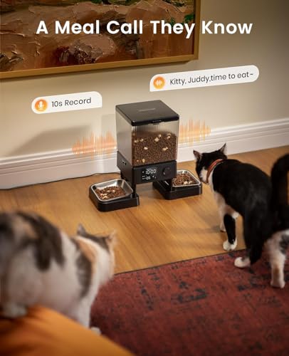 Oneisall food-grade design and easy-clean surfaces support safe pet feeding.