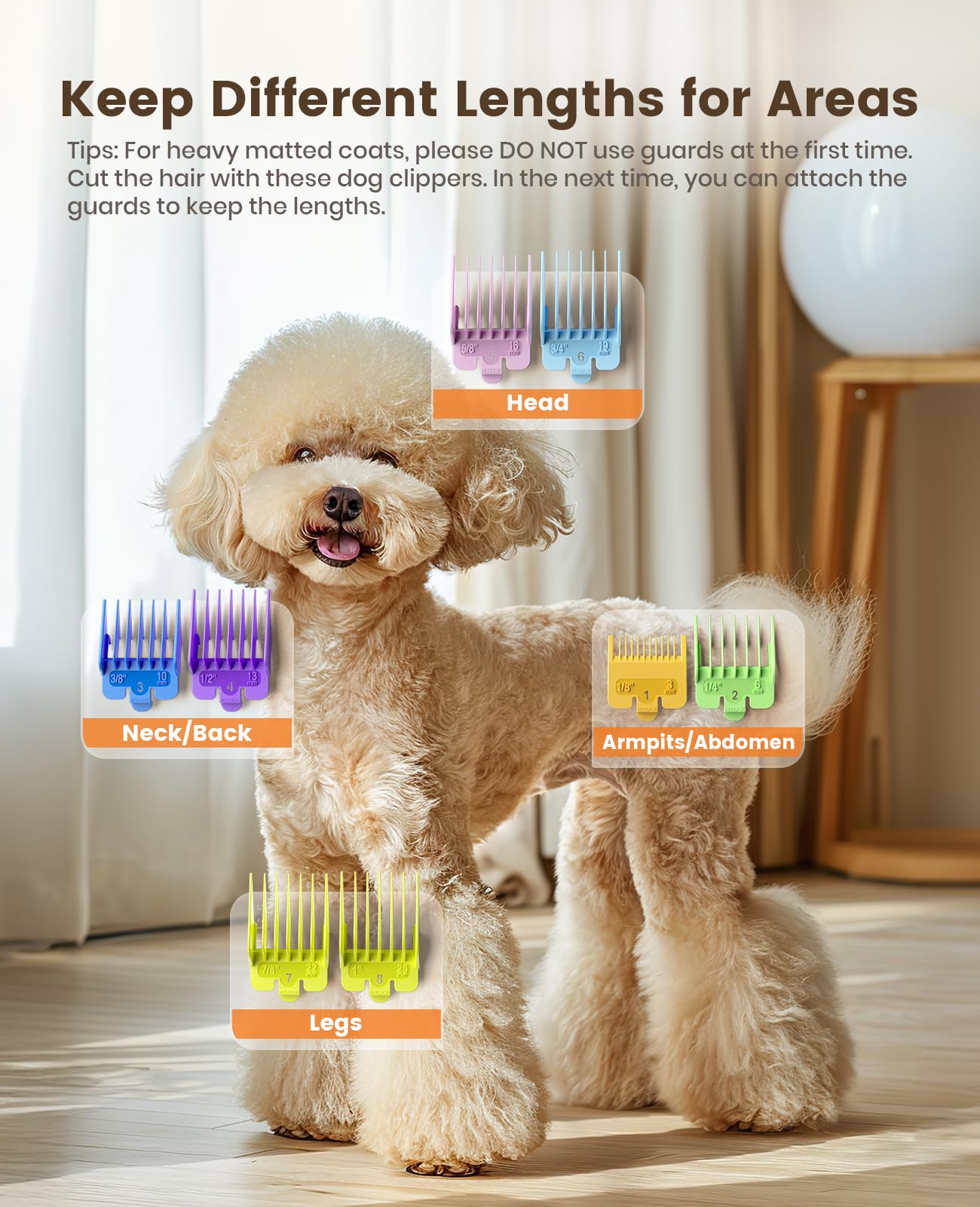 oneisall low-noise operation highlights calm sessions for sensitive dogs.