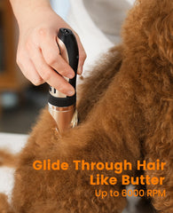 oneisall paw-trimmer fixed blade closeup for precise small-area grooming