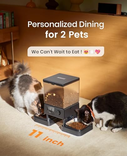 Oneisall two-cats-mealtime layout promotes calm, side-by-side feeding.