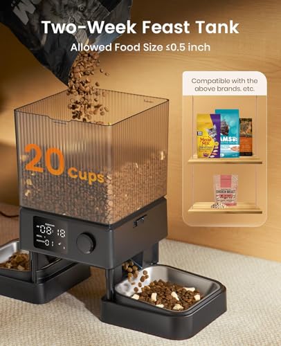 Oneisall voice recorder mealtime lets you greet cats with a custom message.