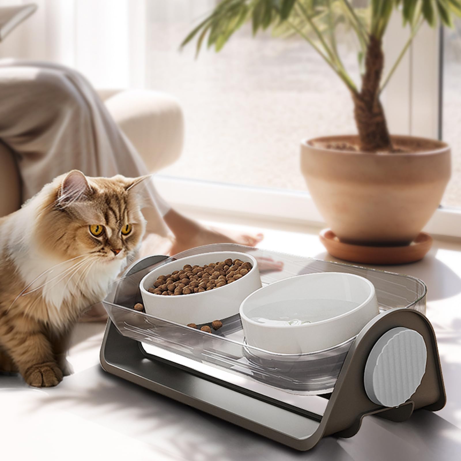 Oneluck cat/dog friendly setup suitable for cats and small dogs
