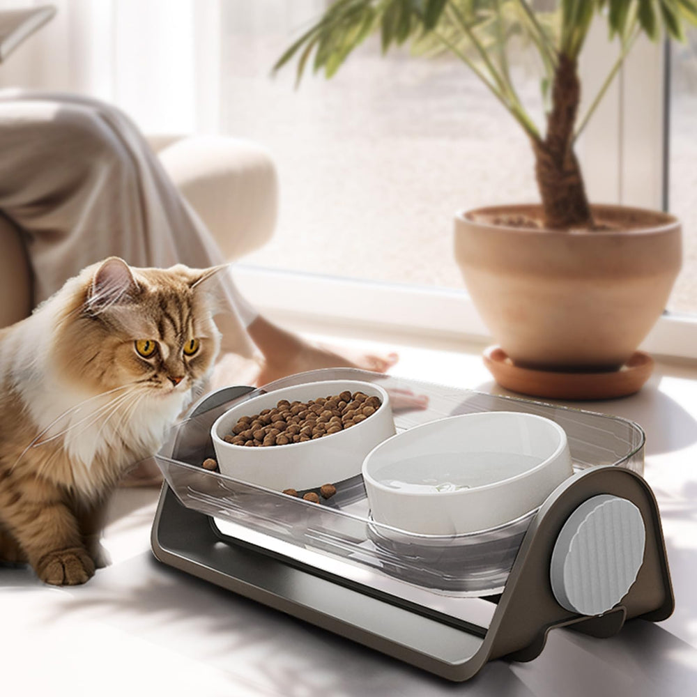 Oneluck cat/dog friendly setup suitable for cats and small dogs