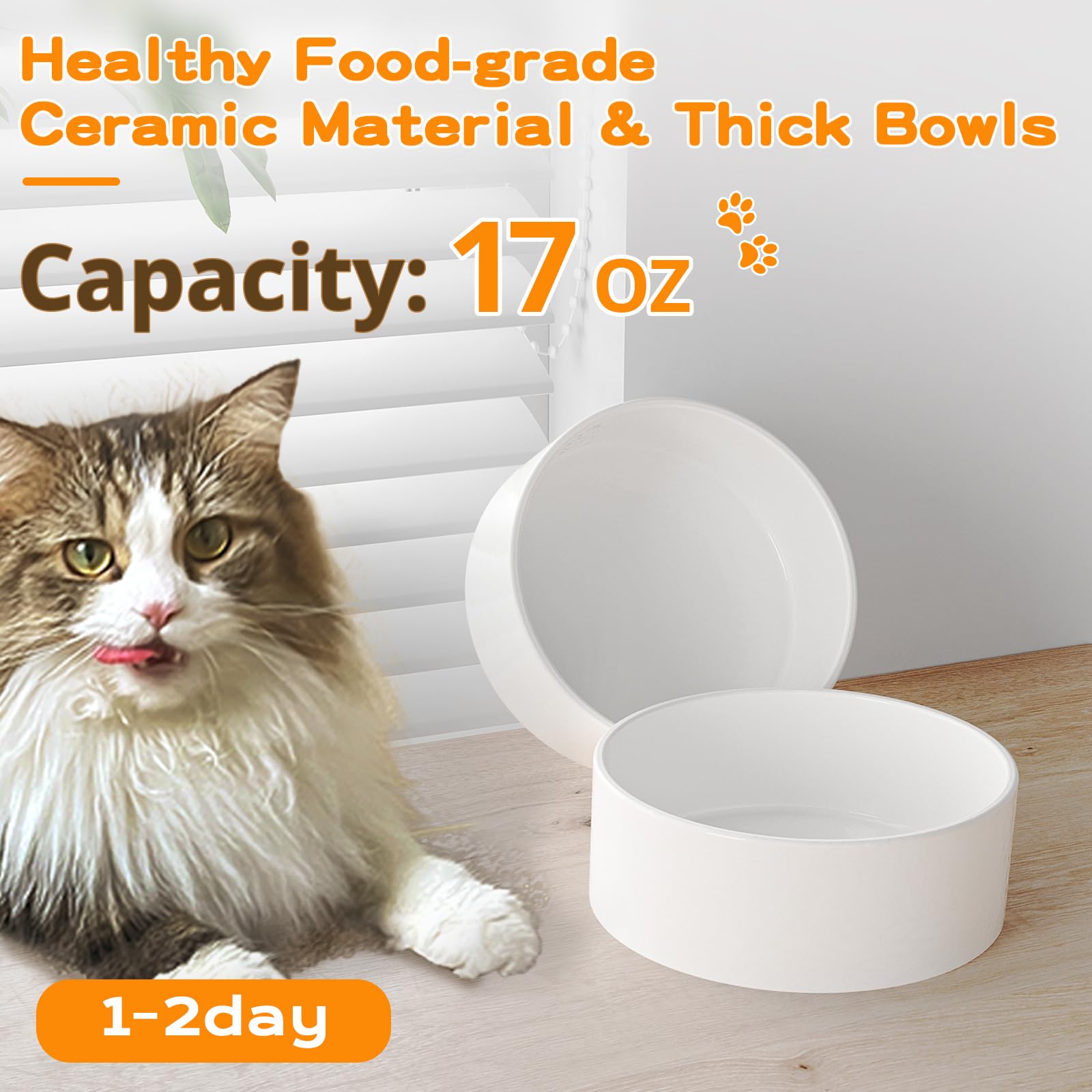 Oneluck slip-resistant edges keep bowls steady during meals