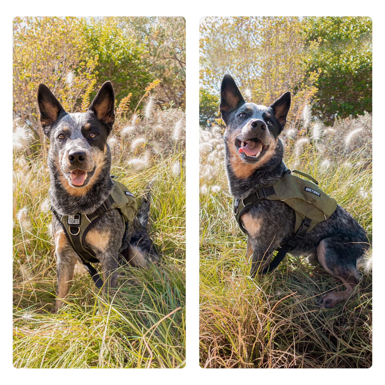 ONETIGRIS side pockets keep water snacks within reach