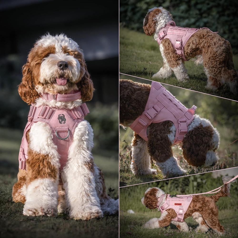 OneTigris adjustable pink harness shows easy fit for neck and chest sizes.