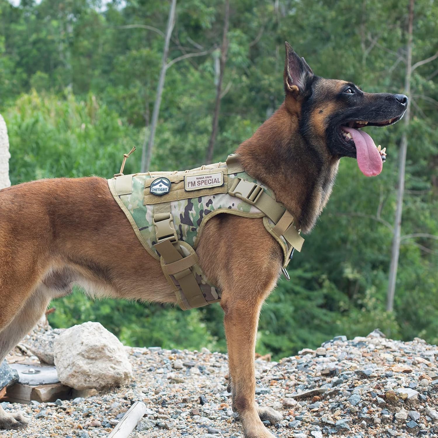 OneTigris adjustable dog harness with quick-release buckles for quick on and off.