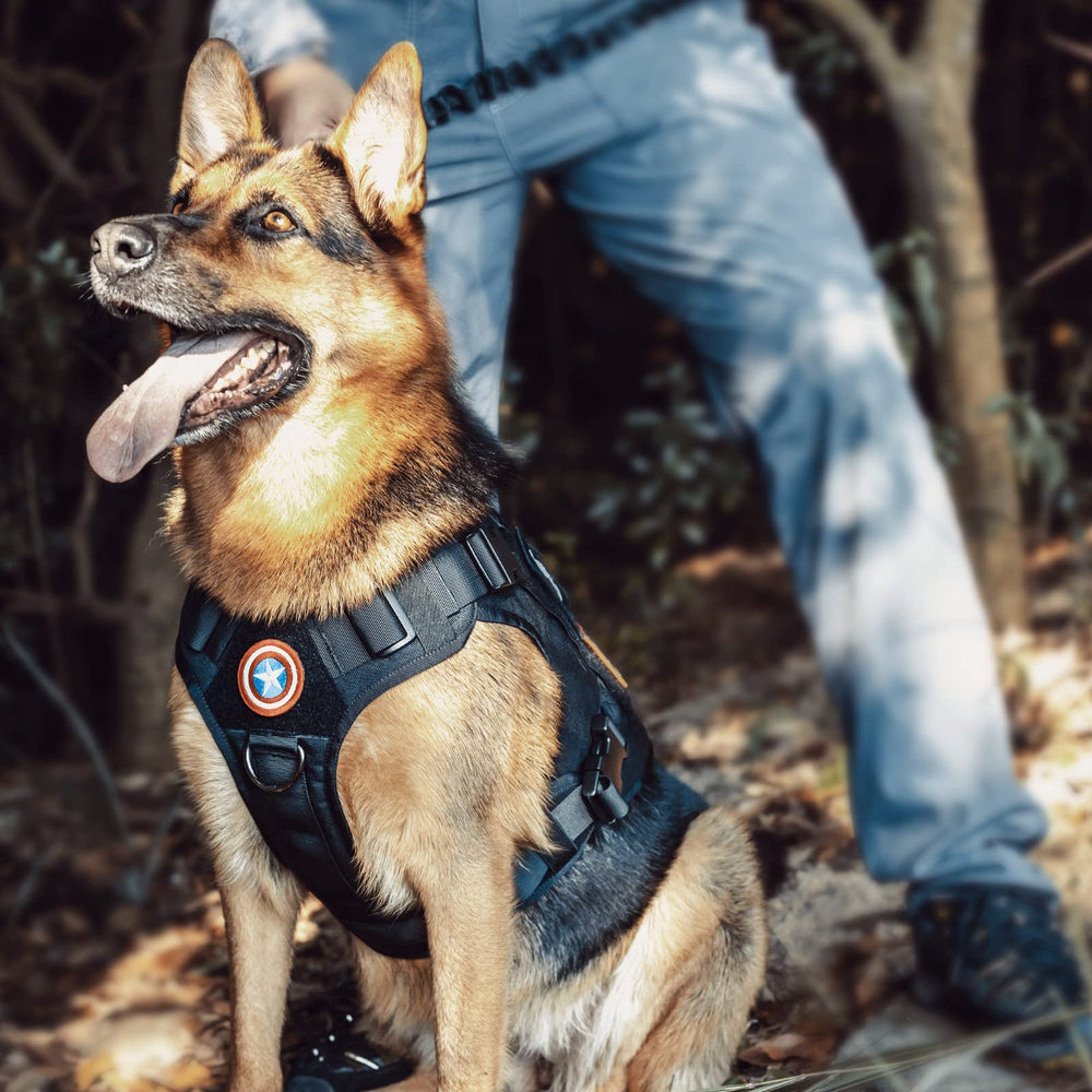 OneTigris all-terrain dog harness in black designed for rugged outdoor use