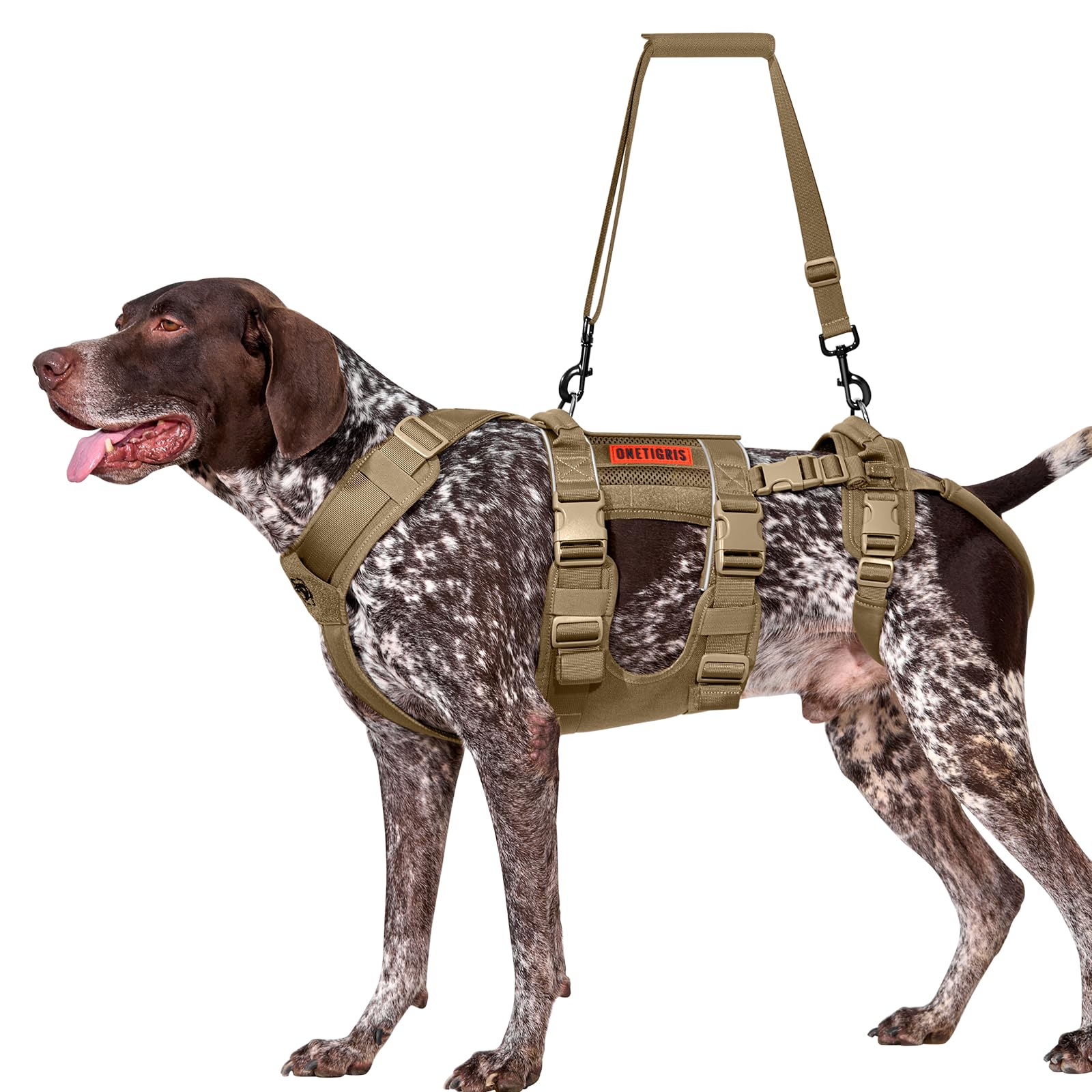 OneTigris harness setup with adjustable straps enables stairs transfers