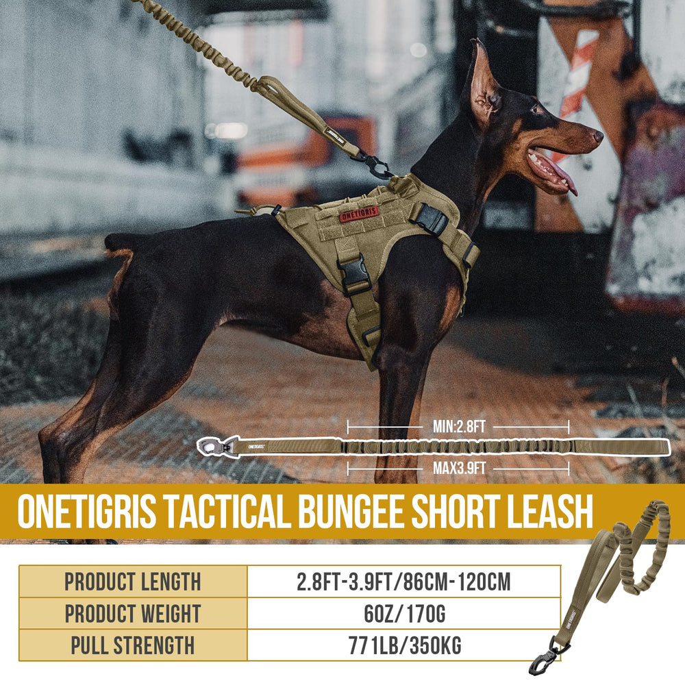 OneTigris bungee leash with padded control handle for quick response training.