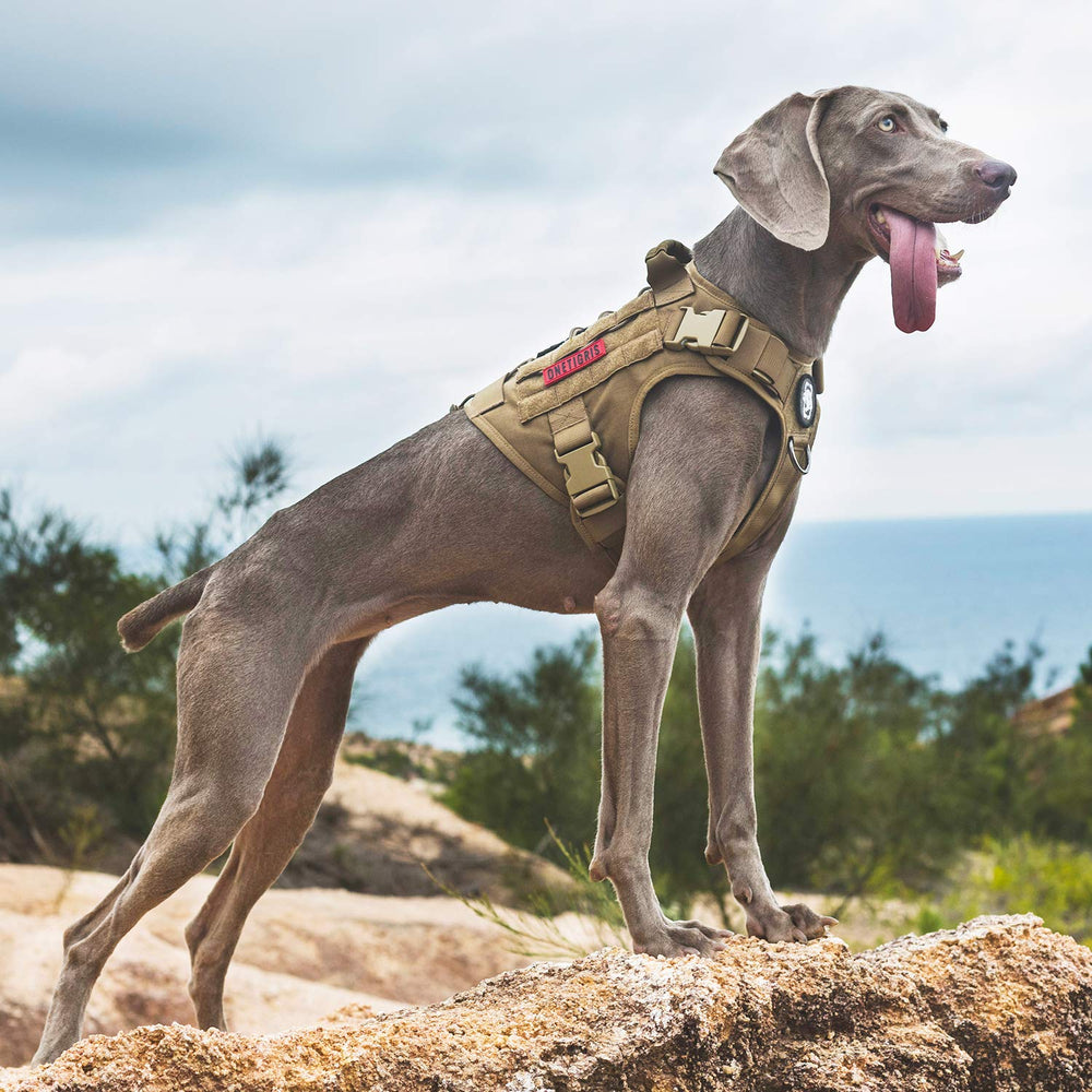 OneTigris Fire Watcher padding-comfort close-up highlights soft padding for longer hikes