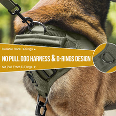 OneTigris MOLLE panel harness enables quick-access gear.