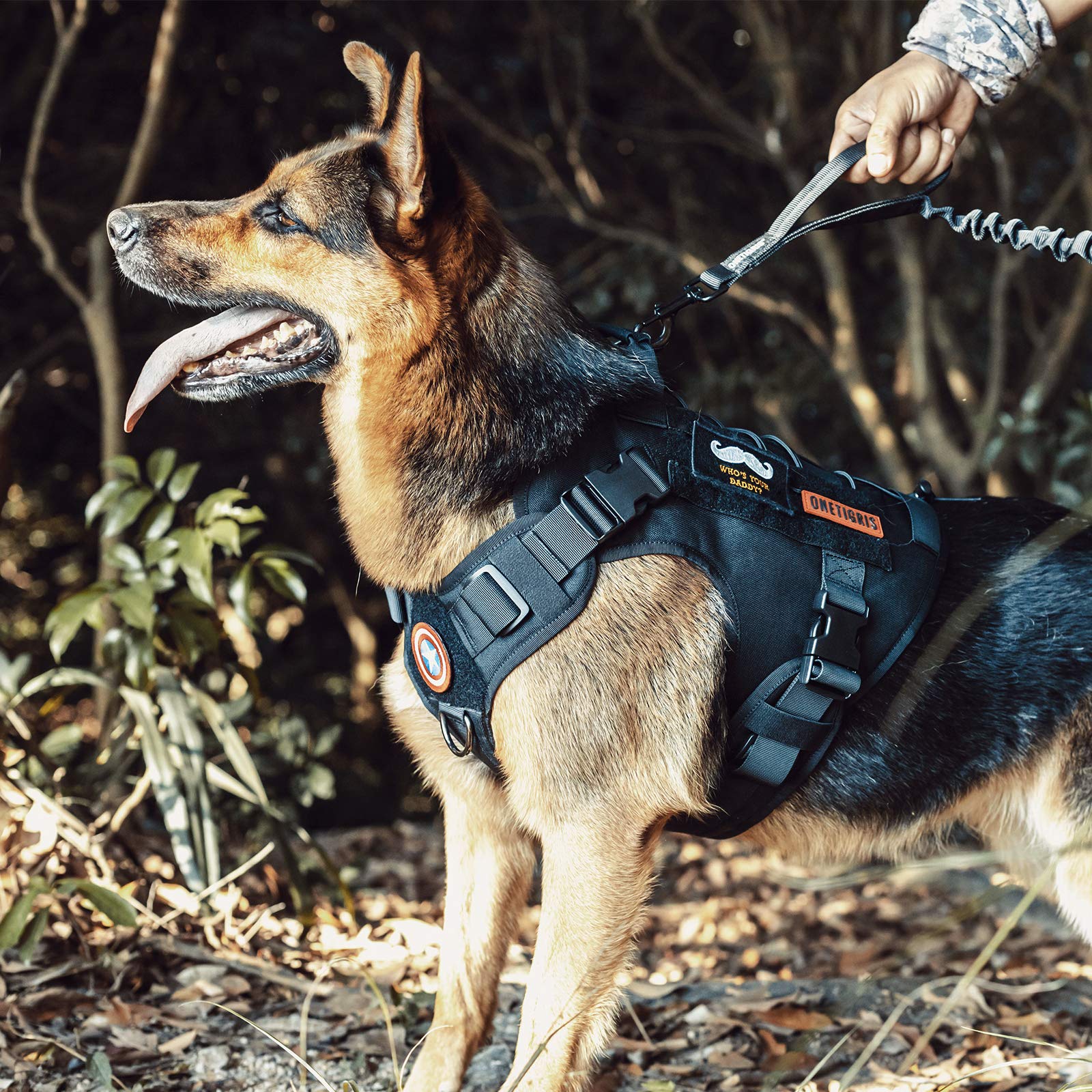 OneTigris dog harness features quick-release buckles for easy on/off