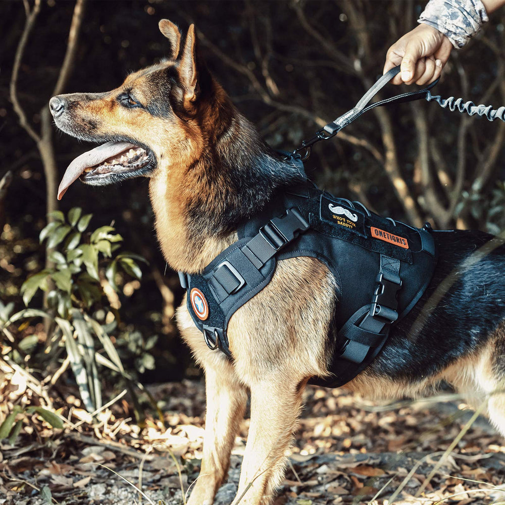OneTigris dog harness features quick-release buckles for easy on/off