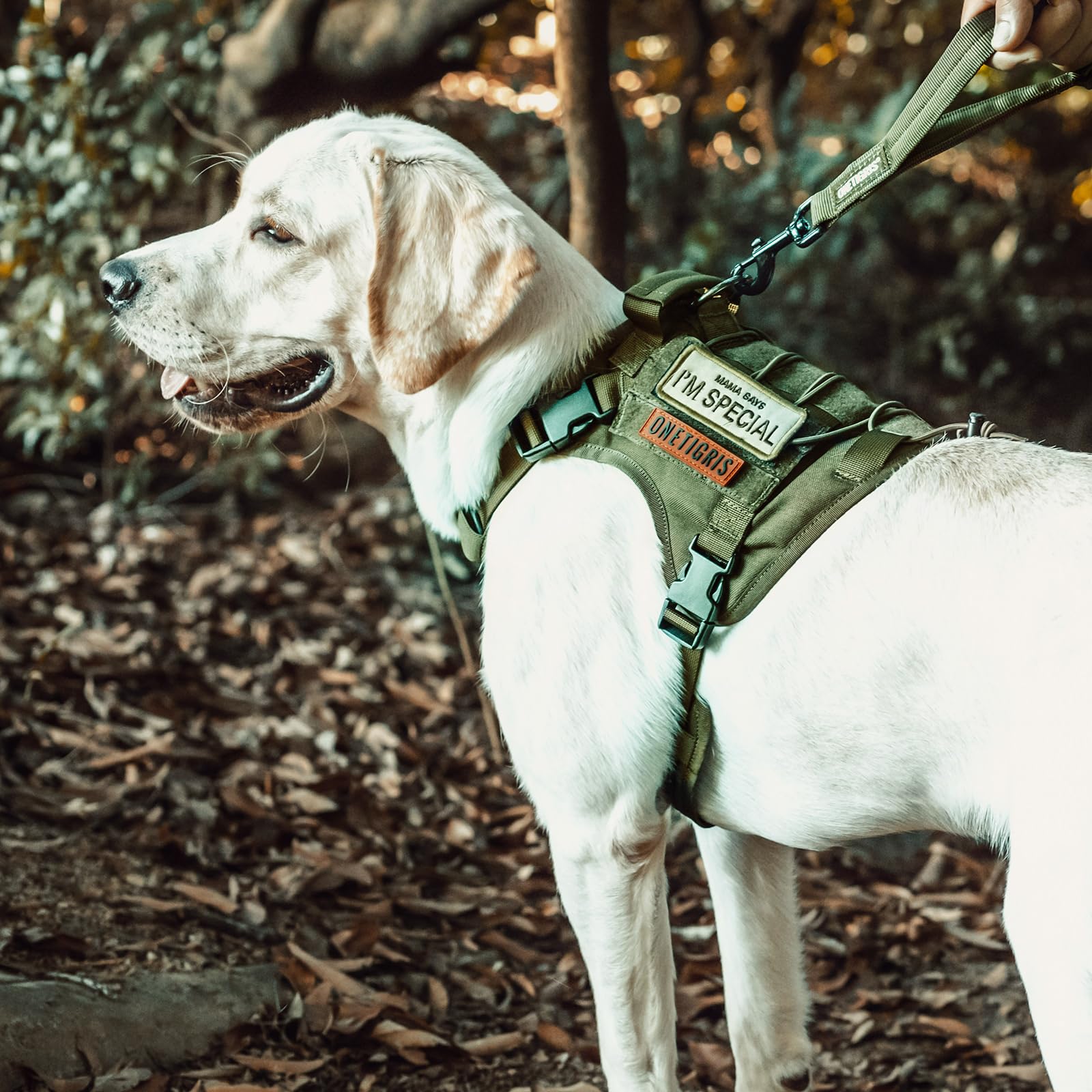 OneTigris dog harness Ranger Green small morale-patch area for ID or badges.