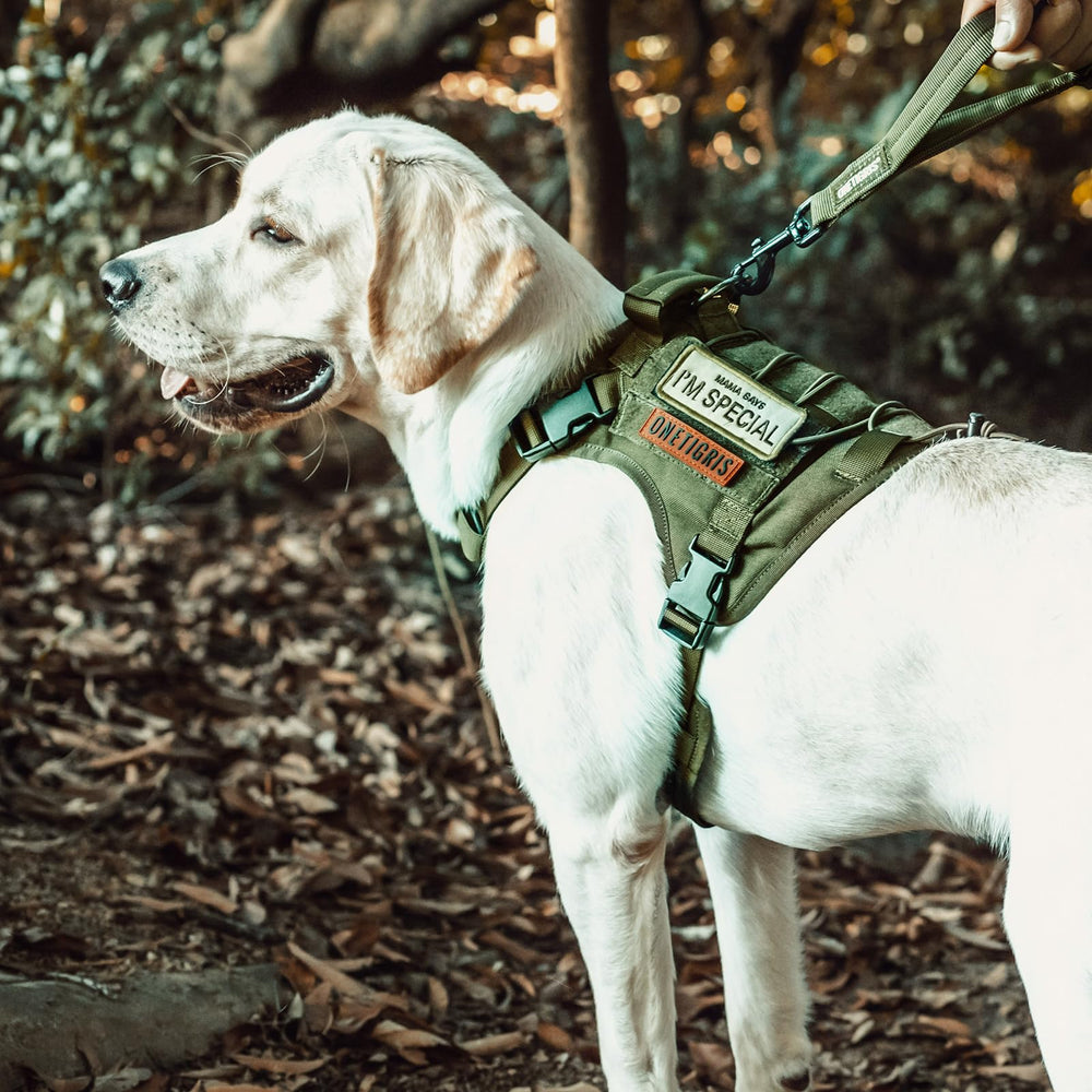 OneTigris dog harness Ranger Green small morale-patch area for ID or badges.