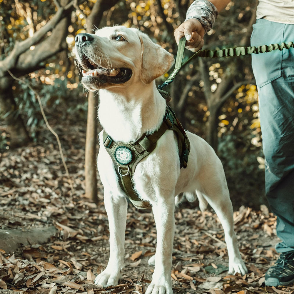 OneTigris dog harness Ranger Green small padded-shoulder area enhances comfort on long walks.