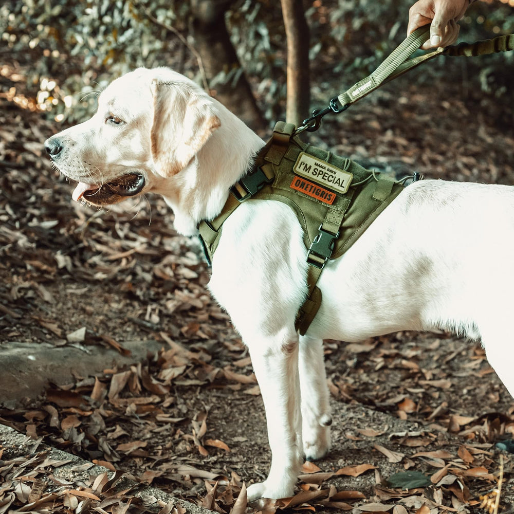OneTigris dog harness Ranger Green small size-chart reference helps you pick the right fit.