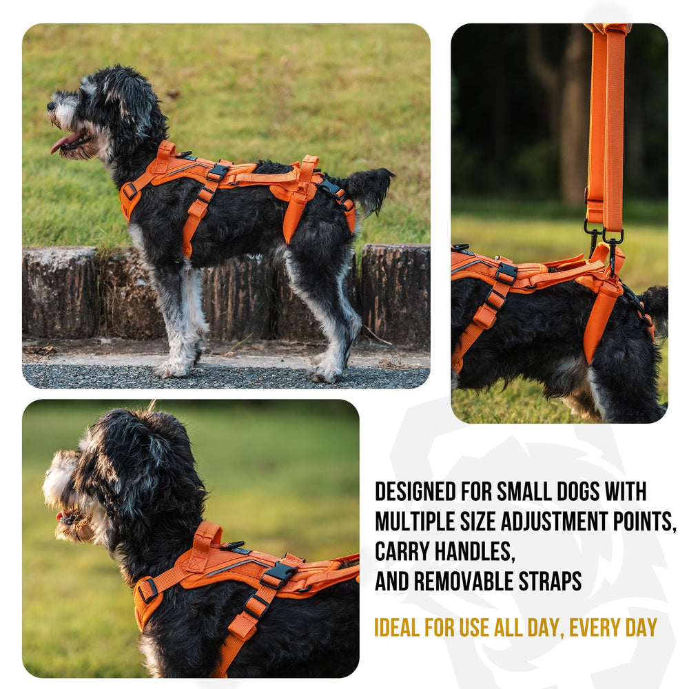 OneTigris adjustable straps illustrate customizable fit from XXS to S sizes.