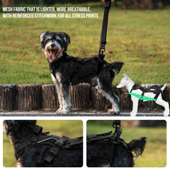 OneTigris dog lift harness back-length close-up highlighting rear support
