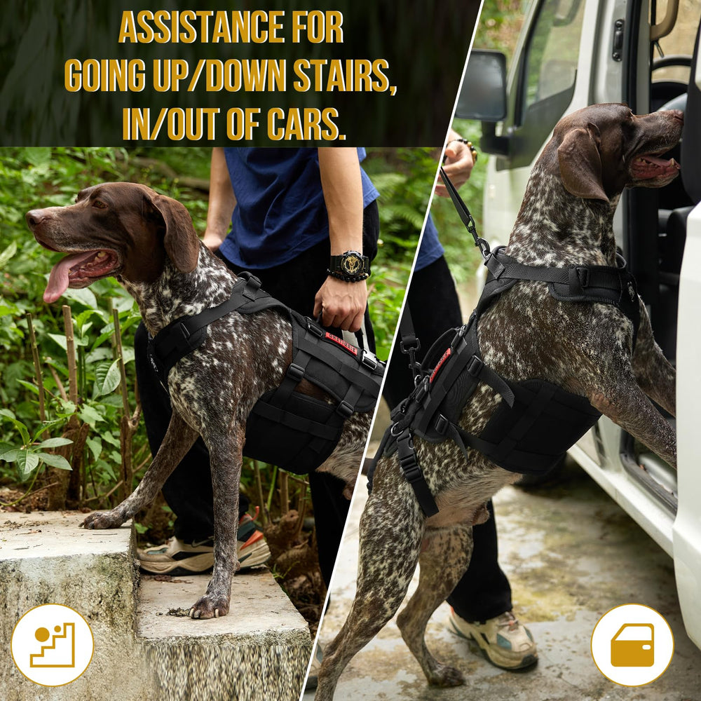 OneTigris dog lift harness grab-handles enable multi-directional lifting.