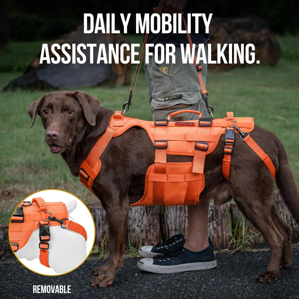 OneTigris Dog Lift Harness grab handles illustrating versatile mobility assistance