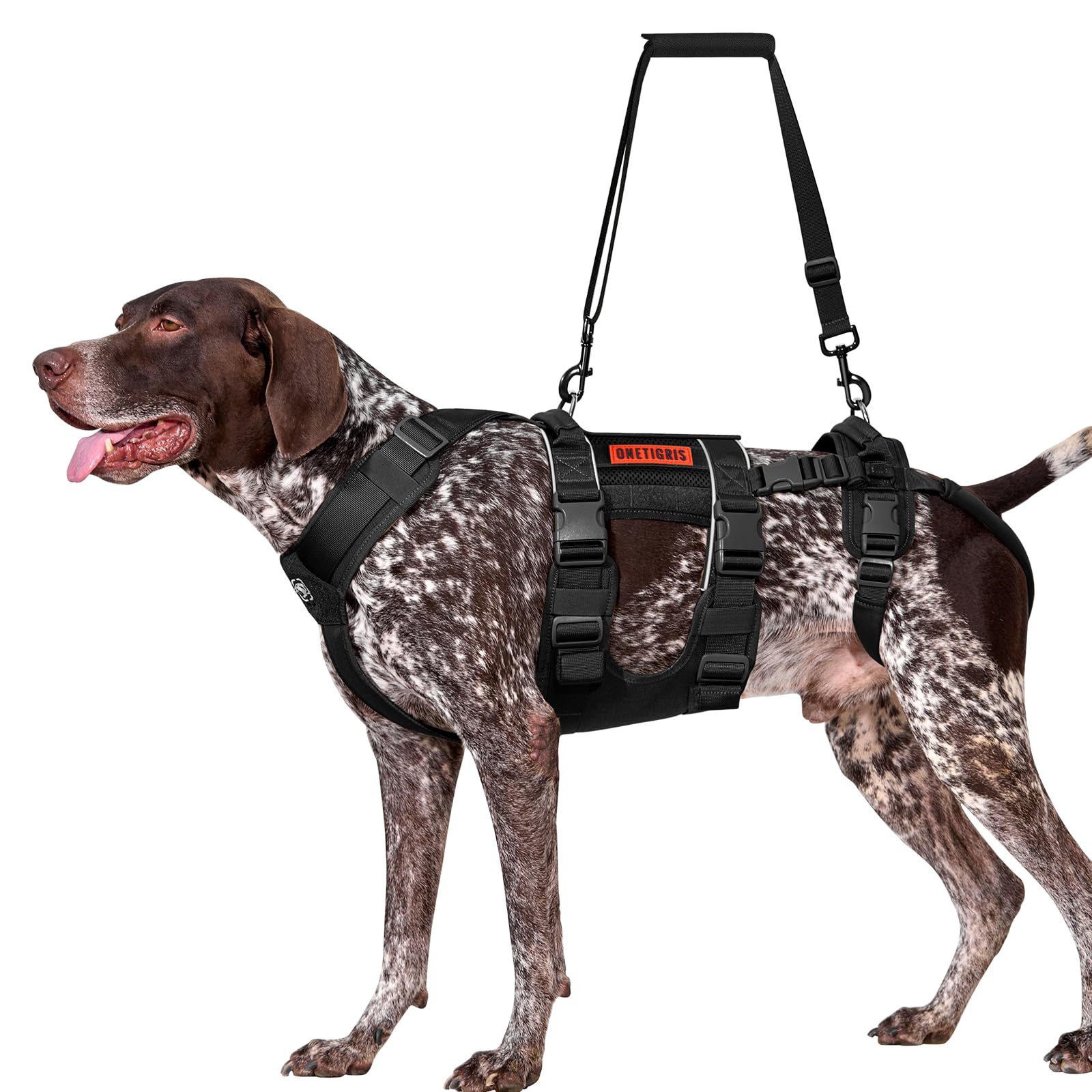 OneTigris lifting strap assists gentle lifting and carrying.