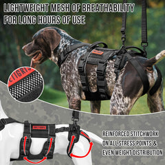 OneTigris rear leg support aids stability during standing and walking.