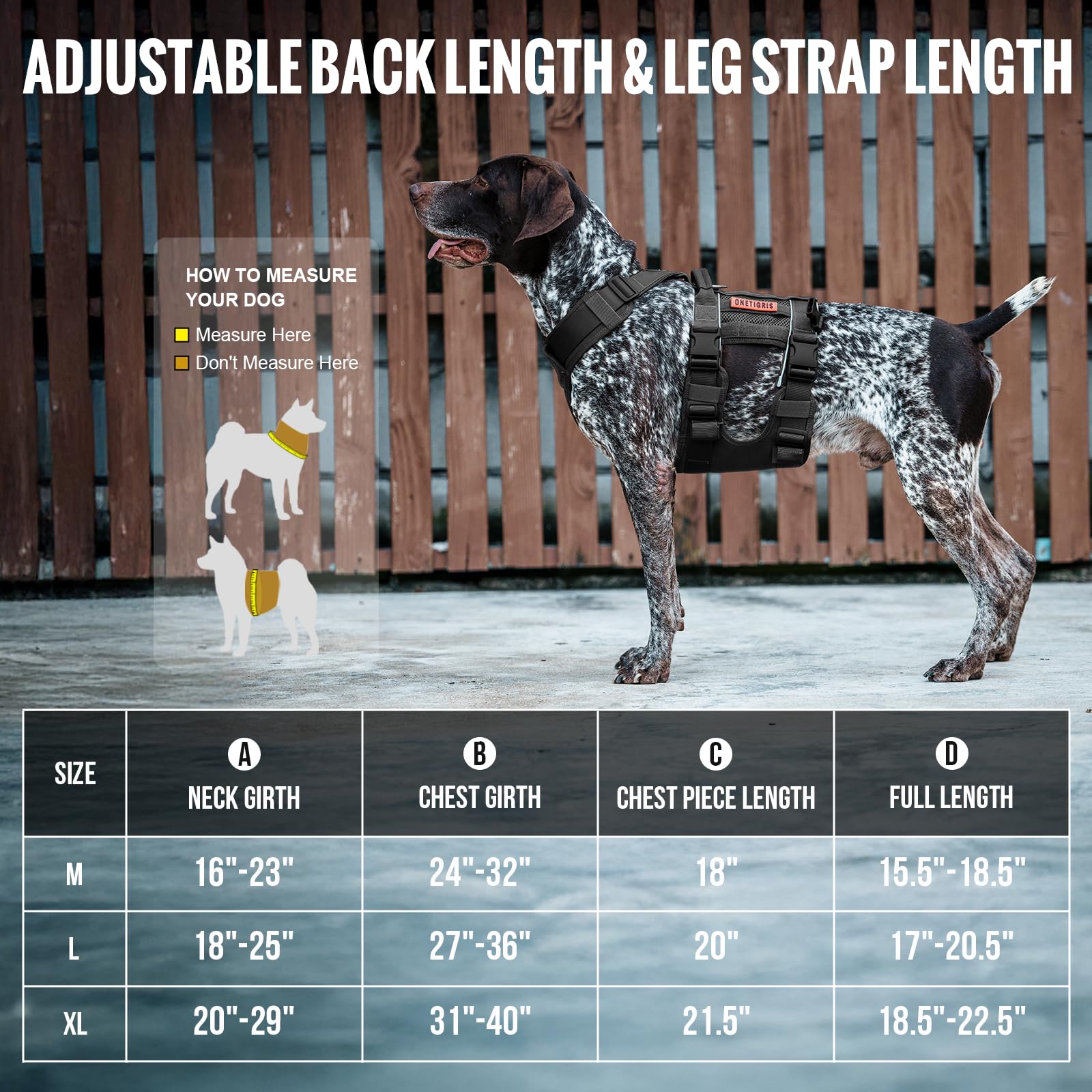 OneTigris lift harness on a senior dog enables easier stair navigation.