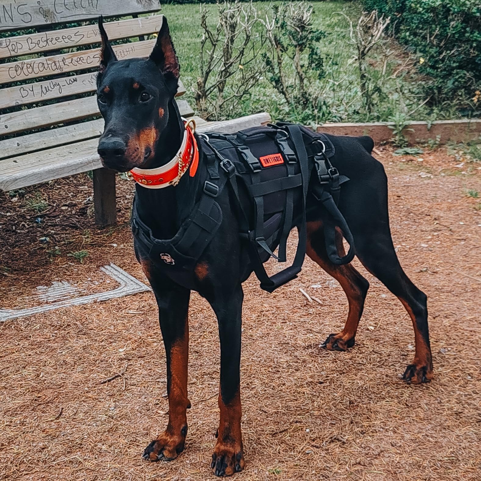 OneTigris dog lift harness size chart with neck and chest