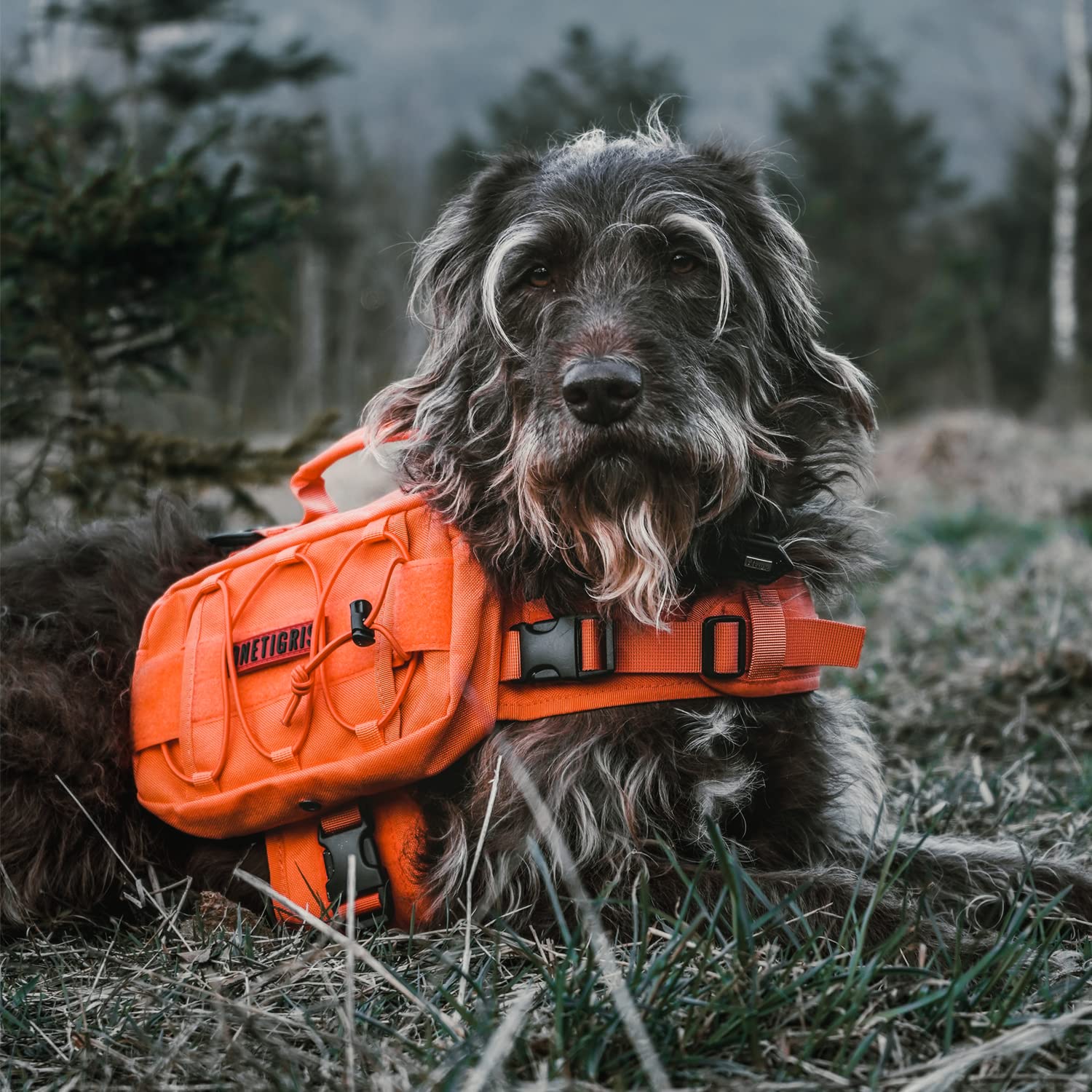 Reinforced grab handle on the OneTigris dog pack for easy lifting.