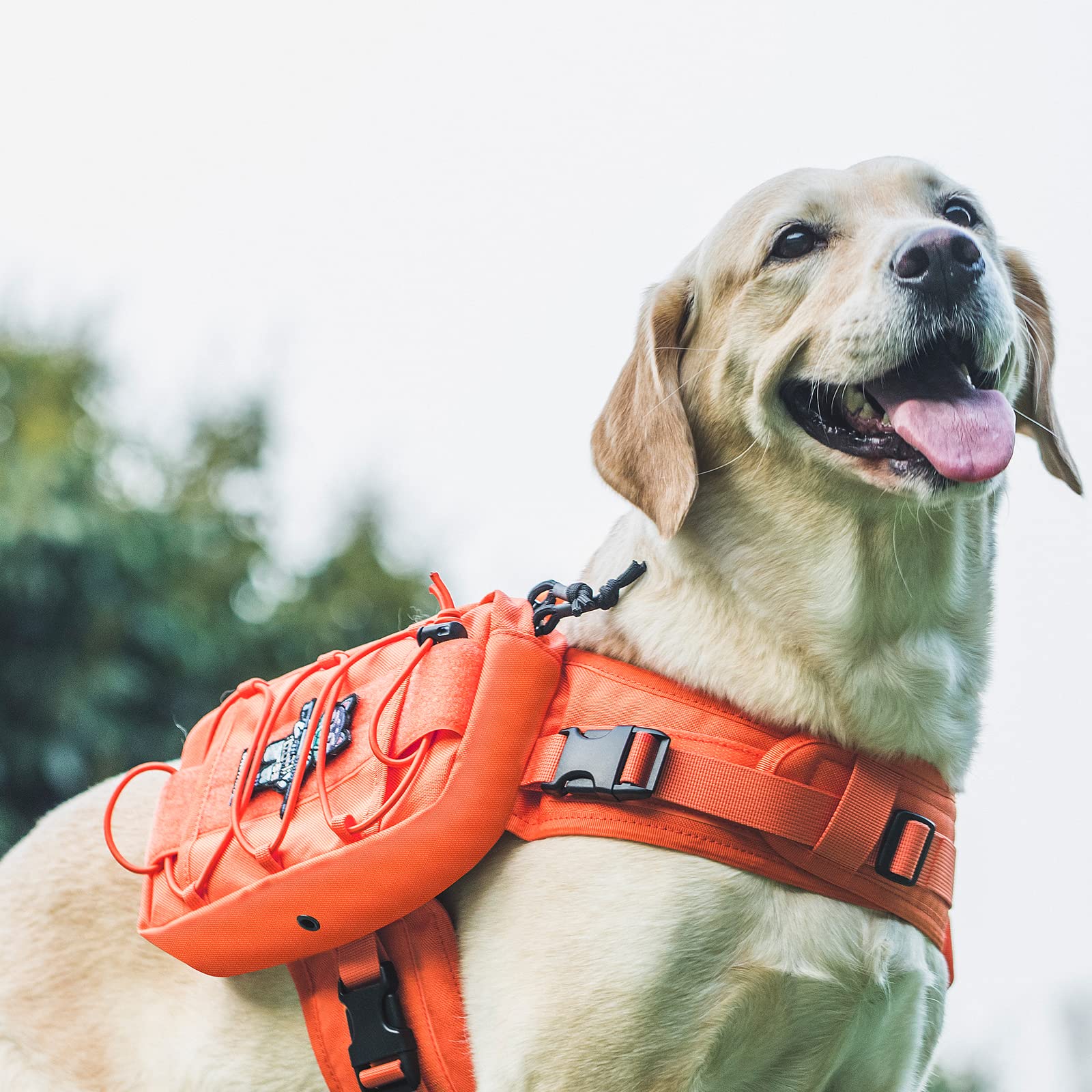 Side pockets on the OneTigris dog pack for water, treats, and toys.