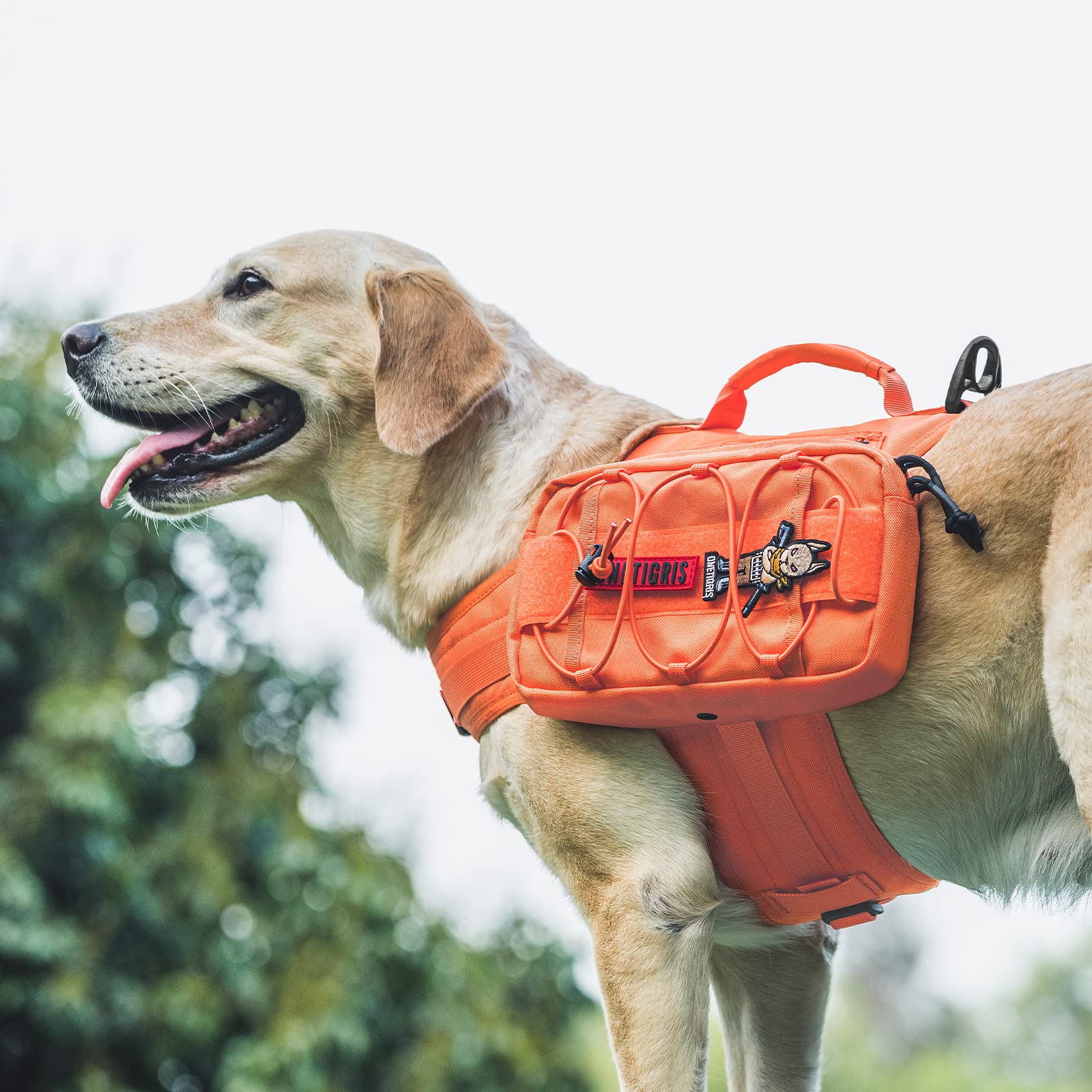 Size range for OneTigris dog pack neck 21–31.5 inches and chest 29–36 inches.