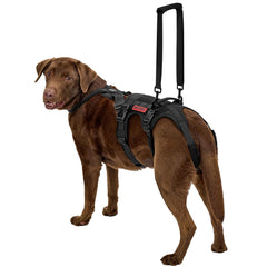 OneTigris dog support harness back view highlights sturdy frame for hind leg lifting tasks.