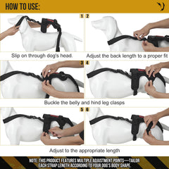 OneTigris dog support harness leg straps focus, securing hind legs for stable assistance.