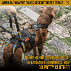OneTigris dog support harness removable handle aids lifting efficiently when needed.