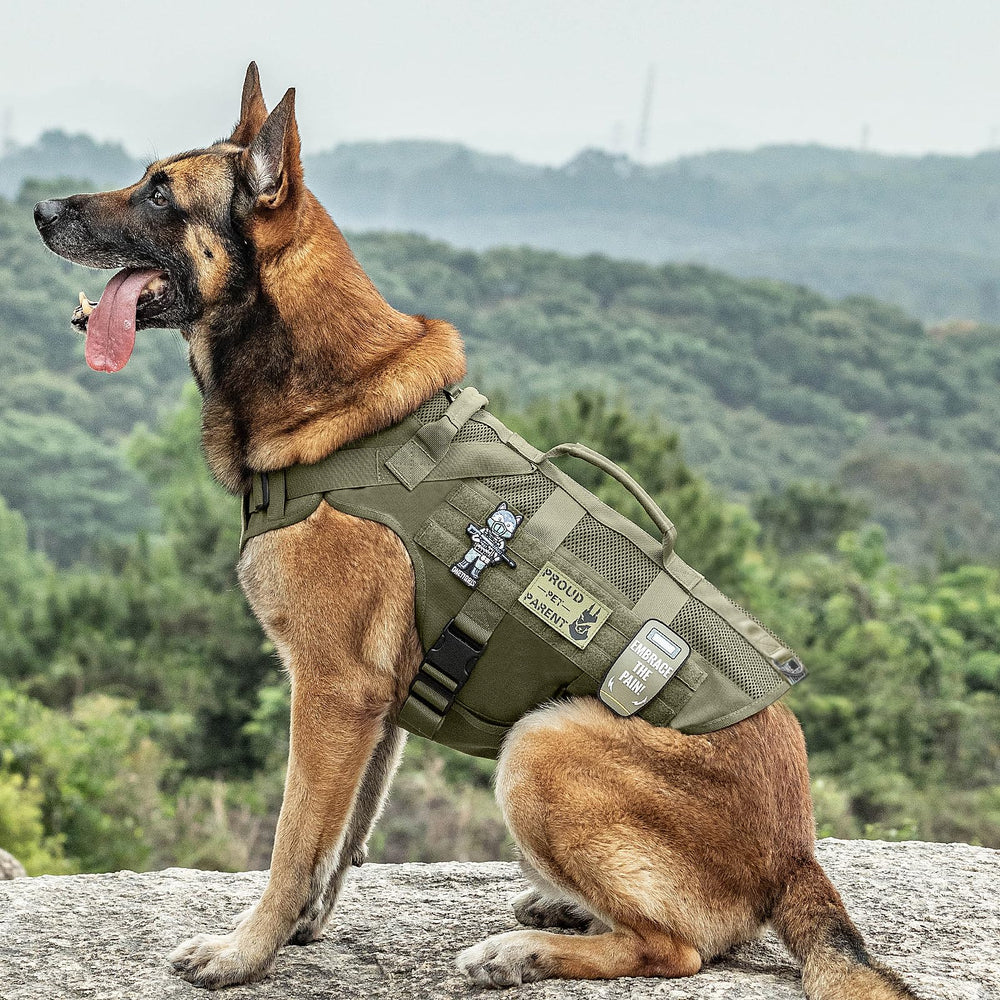 OneTigris sturdy grab handles help loading dogs into cars