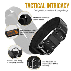 OneTigris heavy-duty 2in-wide collar demonstrates durability for large breed adventures and daily wear.