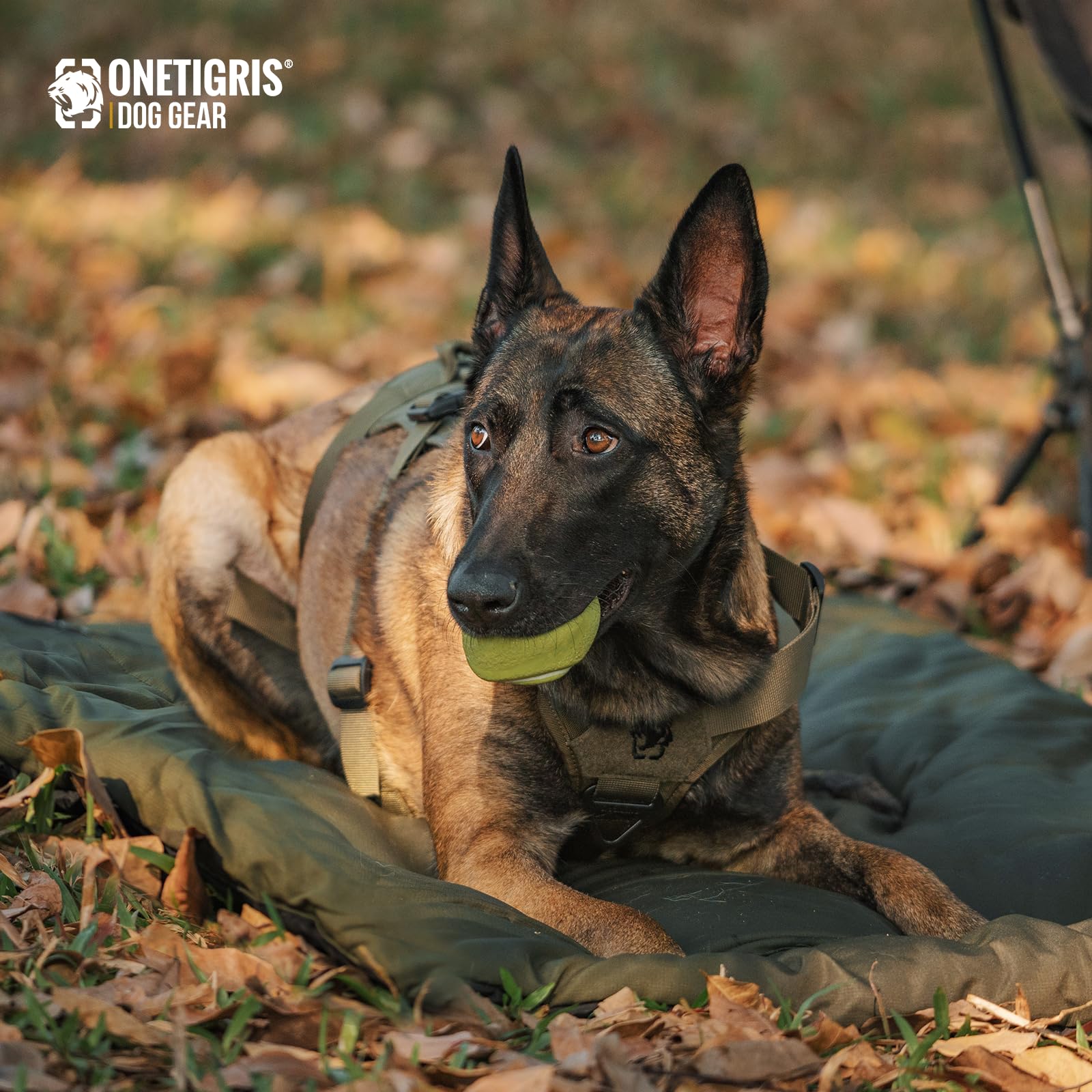 ONETIGRIS dog bed with MOLLE strap for secure outdoor gear attachment.
