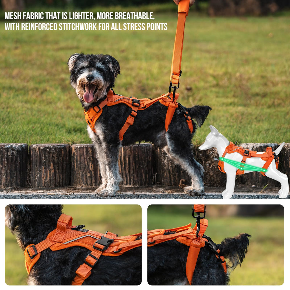 OneTigris Lift Harness rear leg support close-up highlighting padding