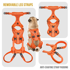OneTigris Lift Harness dual handles provide stable assistance for walking