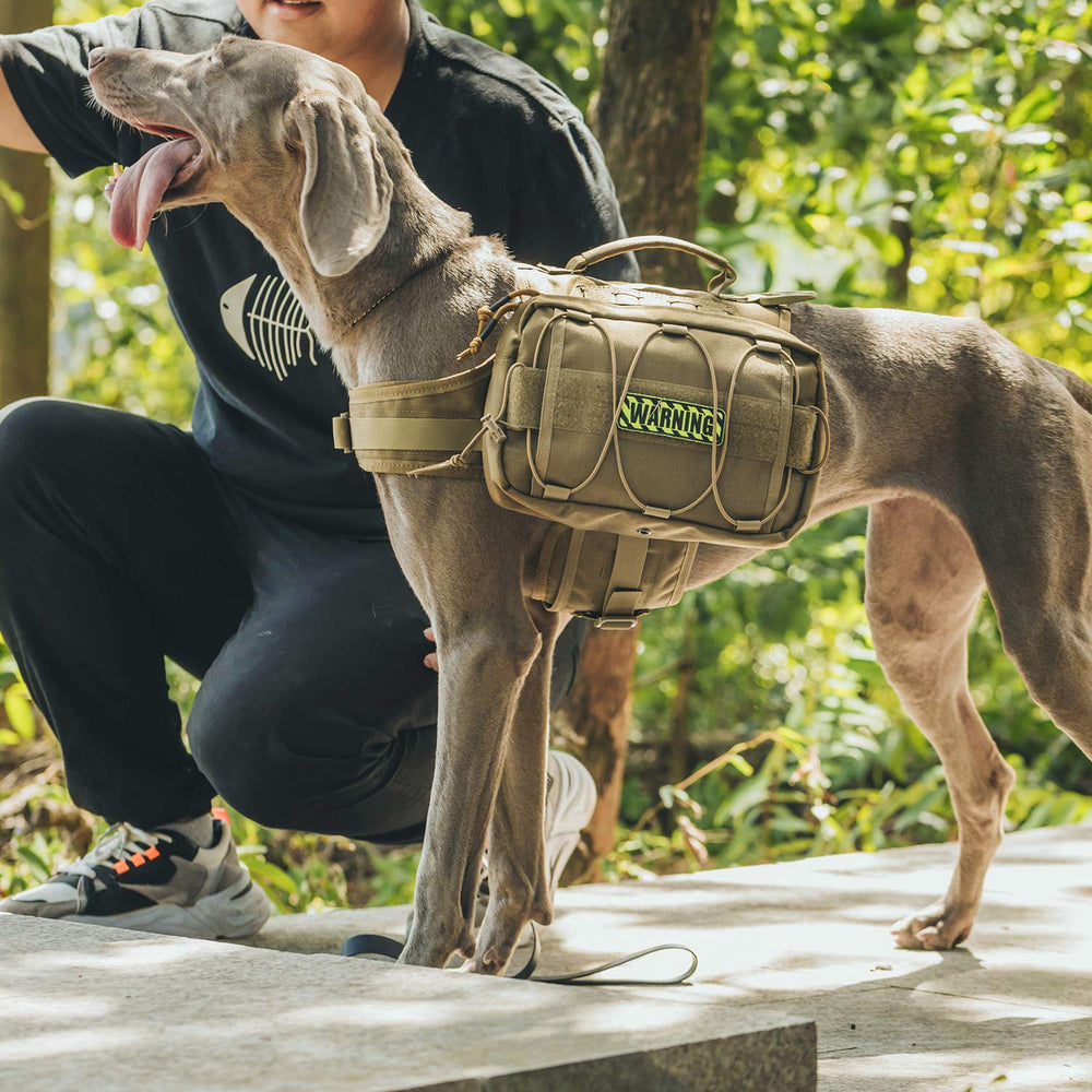 OneTigris Mammoth dog pack adjustable harness demonstrates secure fit for large dogs.