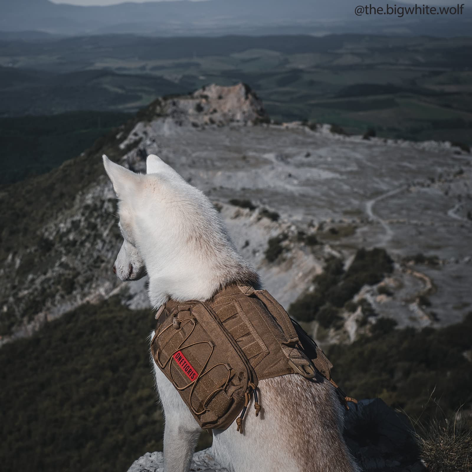 OneTigris Mammoth dog pack in-use hiking scene demonstrates balanced weight distribution.