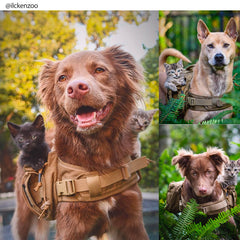 ONETIGRIS Mammoth dog pack side pockets enable easy access to treats and water.