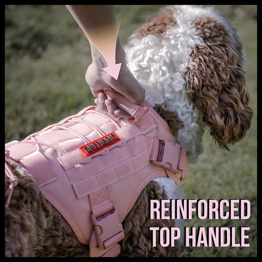 OneTigris molle panel layout on pink harness aids accessory organization.