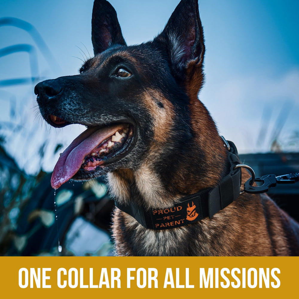 OneTigris mountain-hike-ready collar supports secure control on trails and rugged terrain.