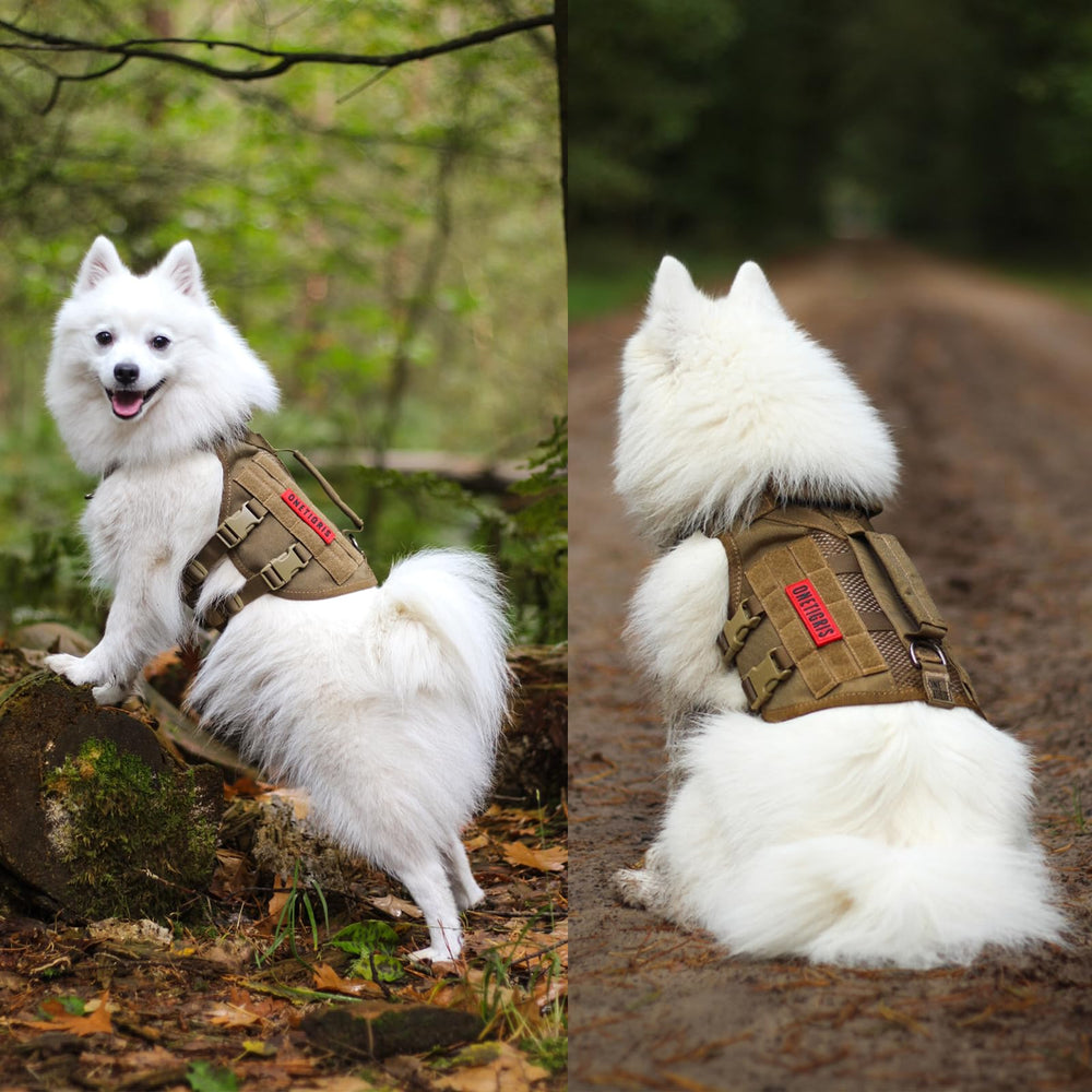 ONETIGRIS No Pull Harness MOLLE panel accommodates treats, pouches, and patches.