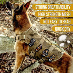 ONETIGRIS No Pull Harness front/back D-rings support training and control.